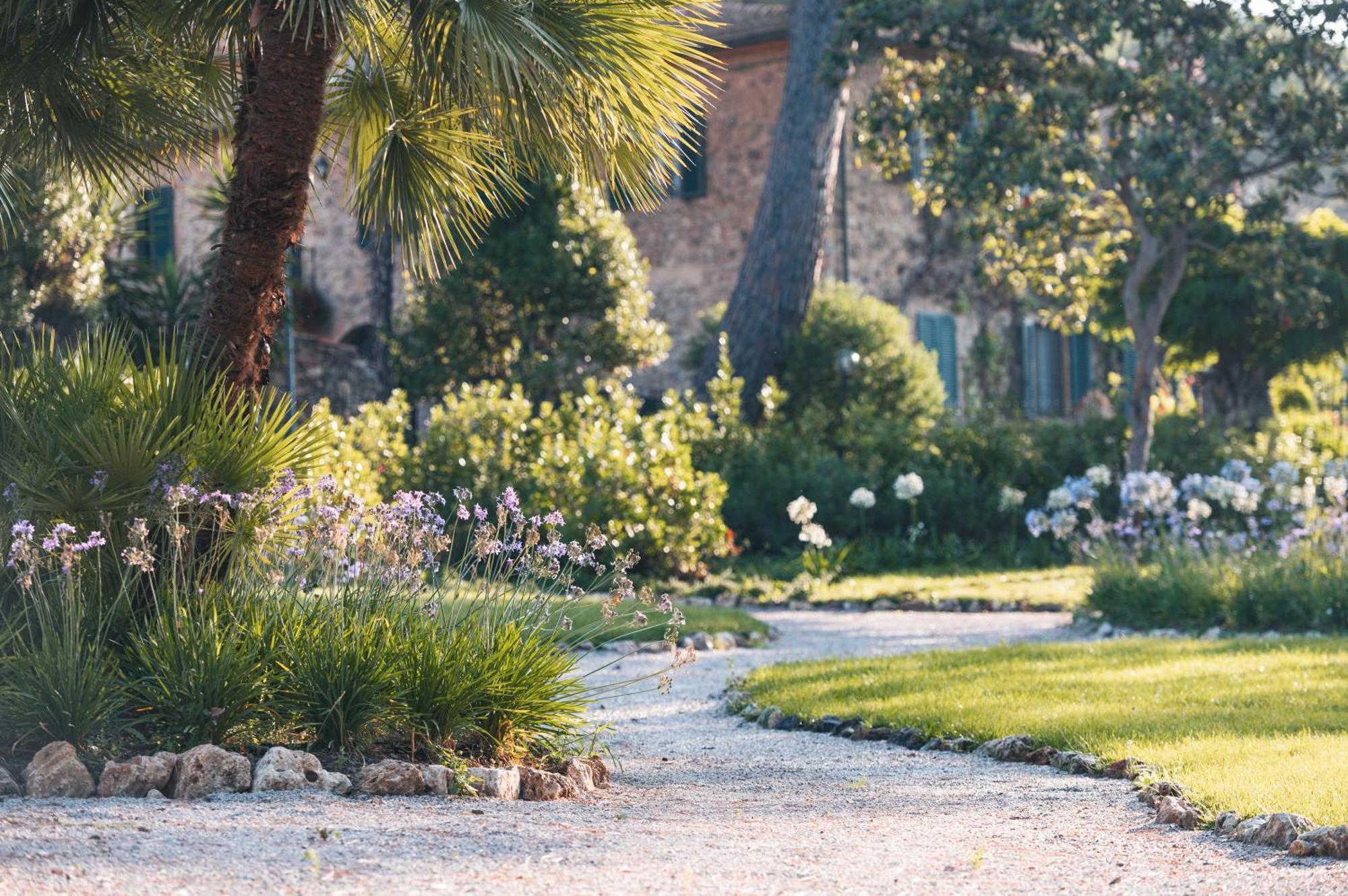 Tenuta Il Cicalino Massa Marittima Ngoại thất bức ảnh