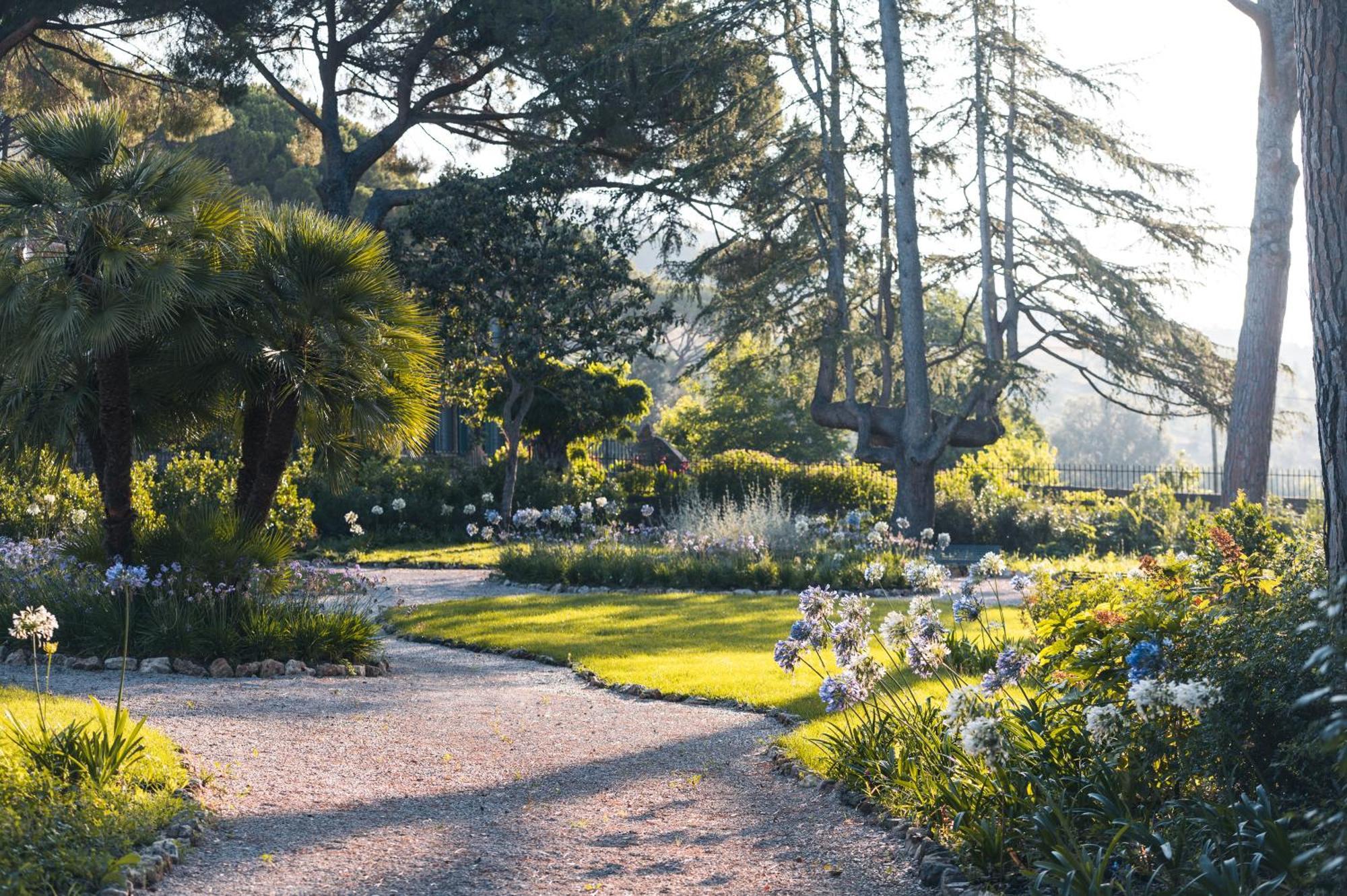 Tenuta Il Cicalino Massa Marittima Ngoại thất bức ảnh