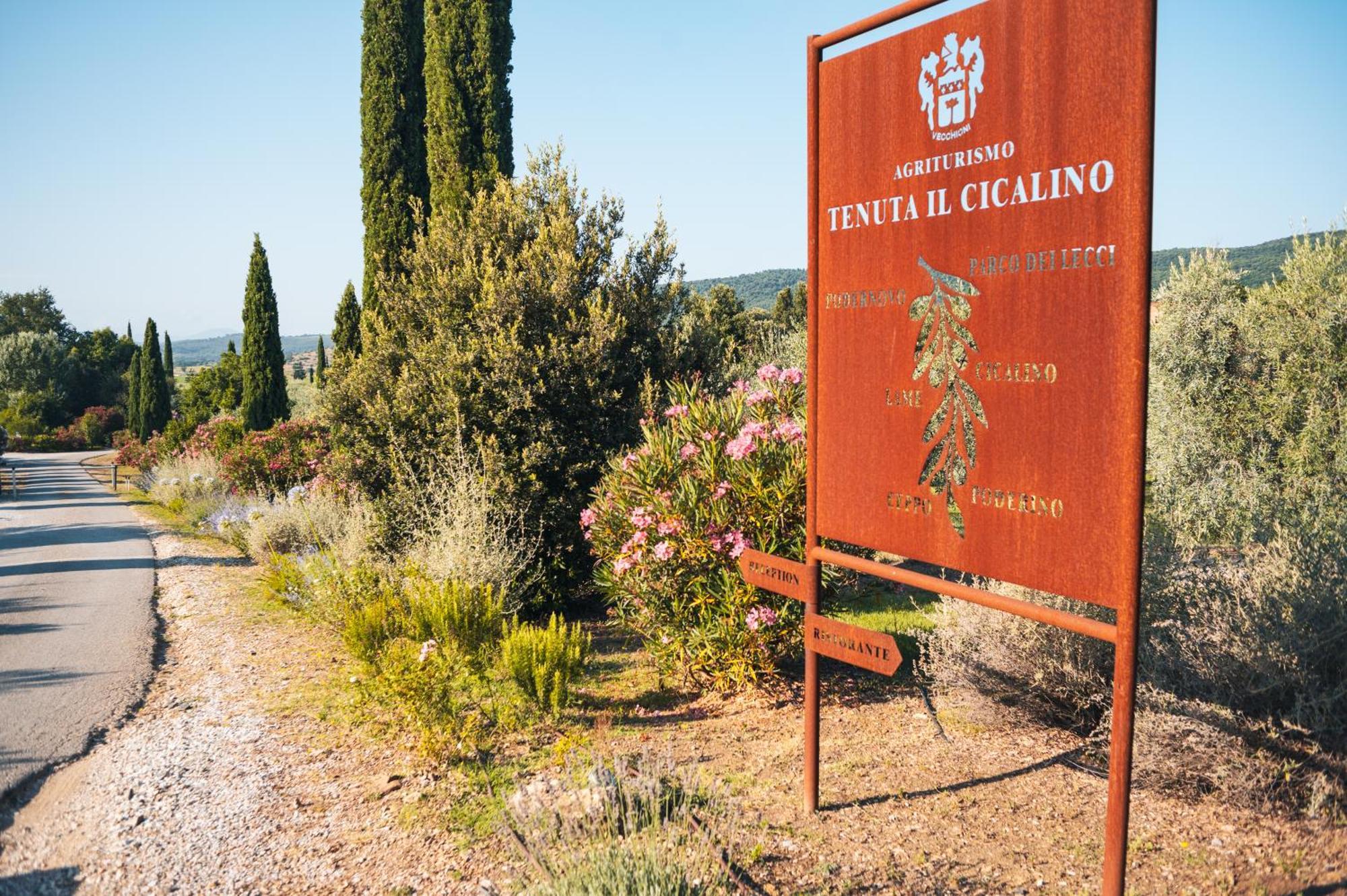 Tenuta Il Cicalino Massa Marittima Ngoại thất bức ảnh